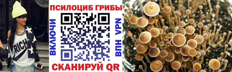 купить наркотики цена Миасс Псилоцибиновые грибы ЛСД