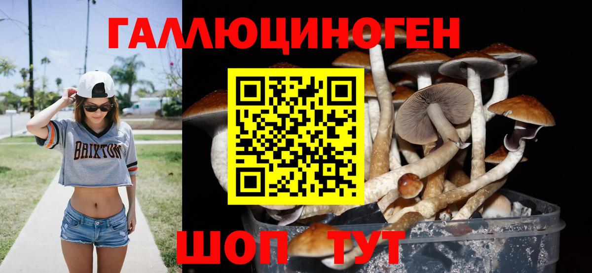 Псилоцибиновые грибы Psilocybe Миасс