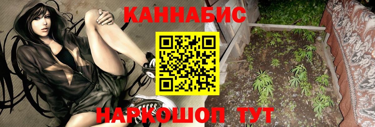 Бошки марихуана THC 21% Миасс