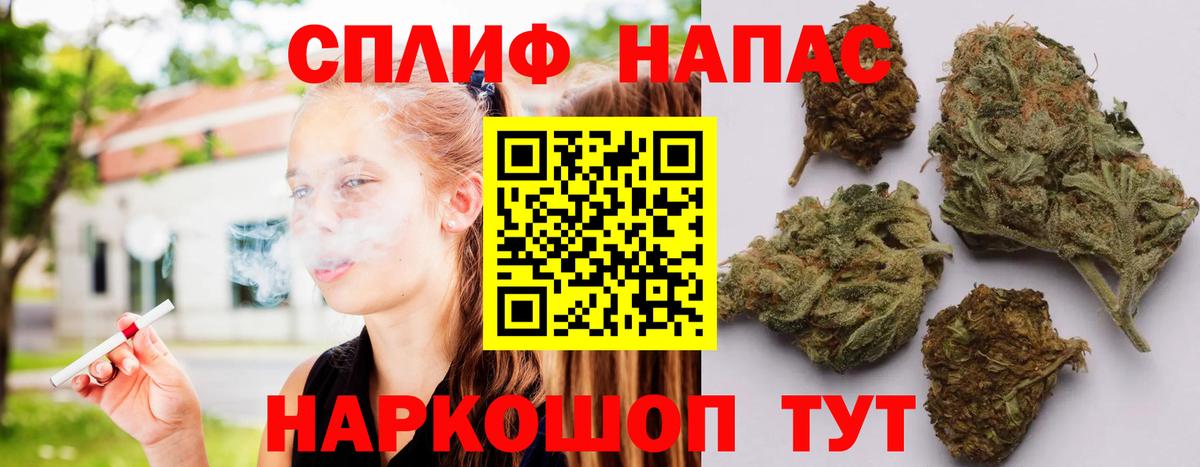 ГАШ Миасс